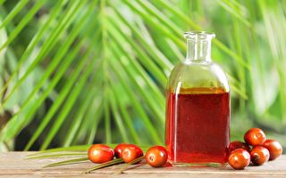 Palm Oil In Glass Bottle Tropical Leaf And Fruits On