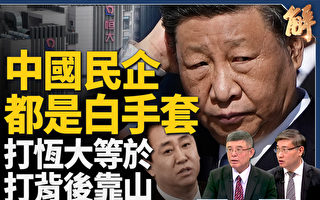 【新闻大破解】中国大型民企都是白手套？