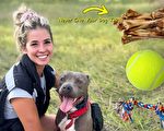 訓狗師警告狗主人：不要給愛犬這三種玩具