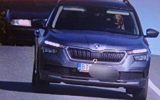 斯洛伐克汽车高速行驶 小狗竟然坐驾驶座？