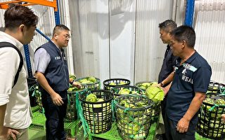 小犬颱風外圍環流影響 桃園關心有機蔬菜產銷