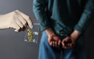 奧克蘭查獲數千萬美元的非法大麻