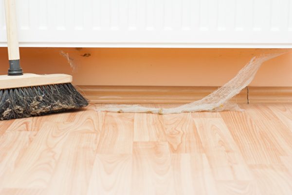 清除家中的蜘蛛网 这不是万圣节装饰