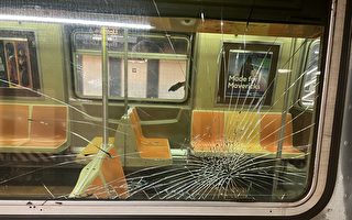 砸破近百地铁窗户 纽约14岁青少年被捕