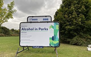 多倫多公園酒水開放五週試點結束 僅兩起投訴