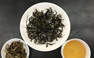 台湾原生山茶“山蕴”转身化作清香型乌龙茶