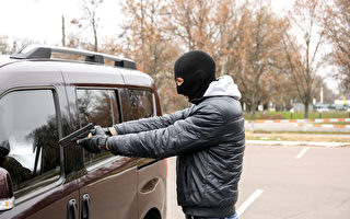 大多區警局和省警成立特別小組 聯手打擊劫車