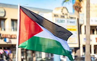 升巴勒斯坦旗 北安多福鎮激烈討論後批准