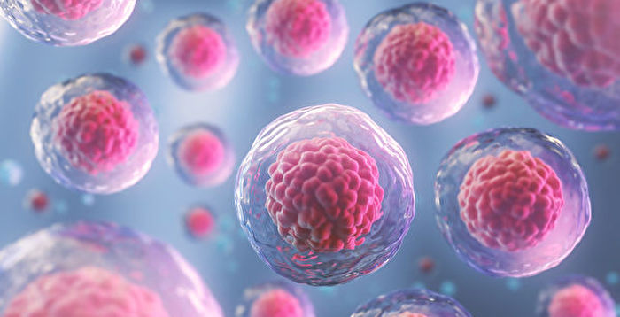 新研究发现人类细胞数量与大小的分布特征