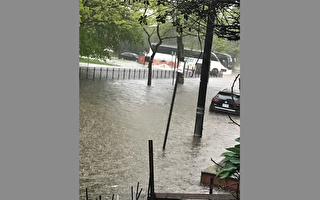 报告：纽约市洪涝区房价上涨幅度低于非洪涝区