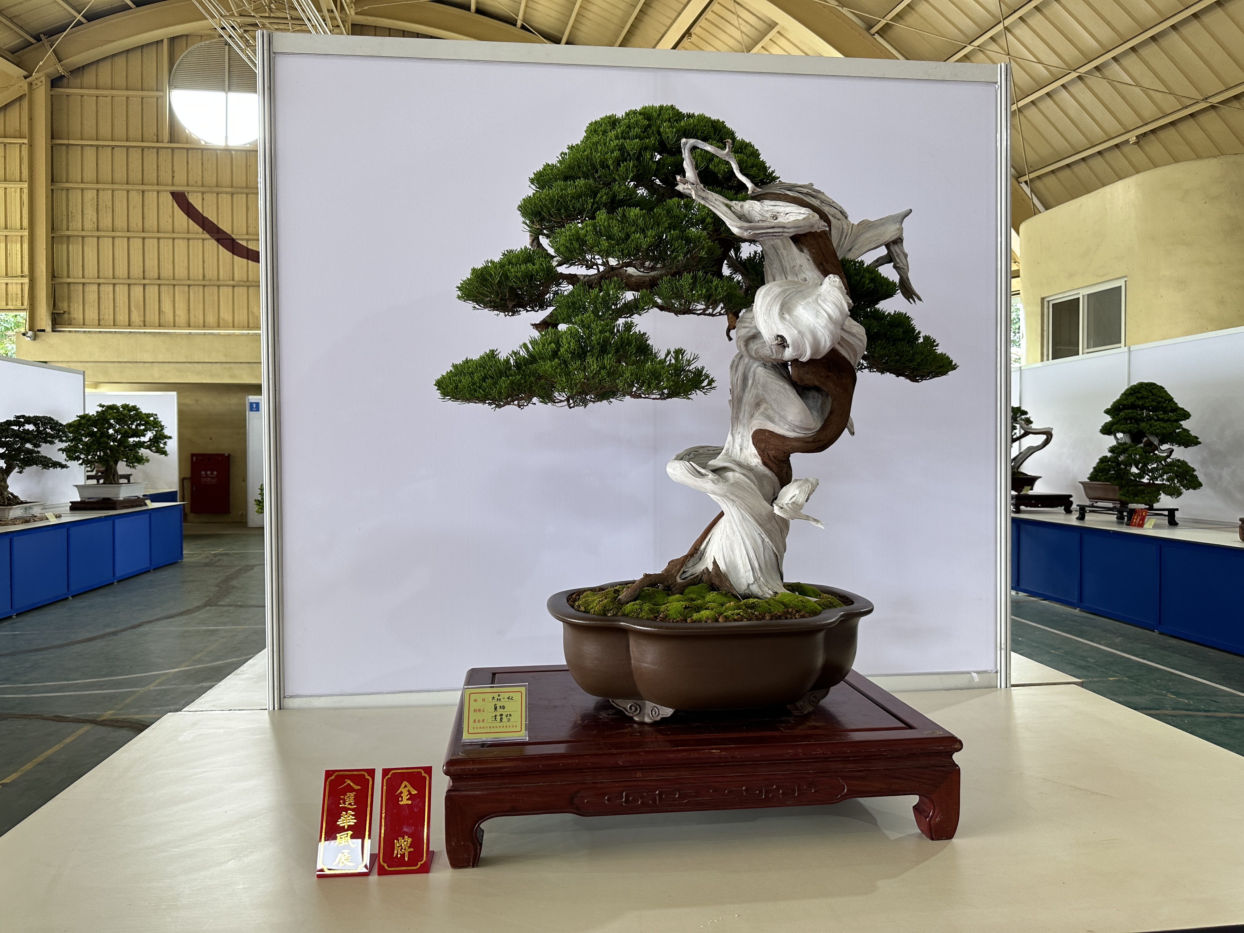 雲林全國盆栽邀請展自然之美與藝術融合| 張麗善| 大紀元