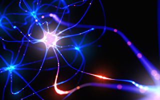 科学家称新磁电材料可重新连接被切断的神经