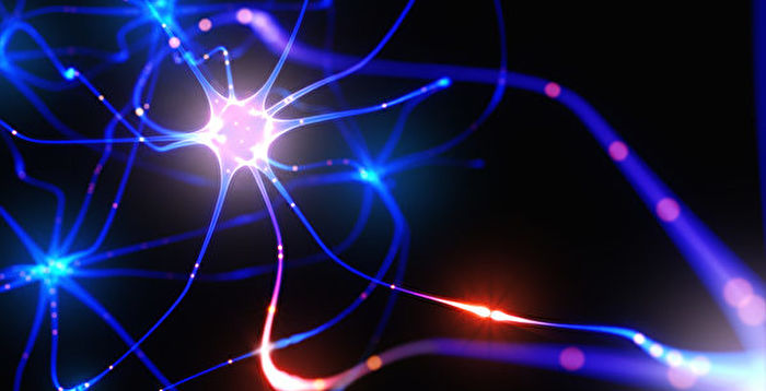 科学家称新磁电材料可重新连接被切断的神经