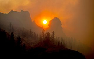 火災危及加州珍貴森林 專家：植被恢復是難題