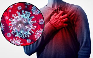 新冠病毒入侵心臟動脈 6類長壽食物護心臟
