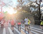 纽约马拉松11·5举行 观赛及封路信息