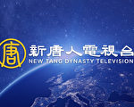 招聘通知：新唐人电视台诚聘主播与主持