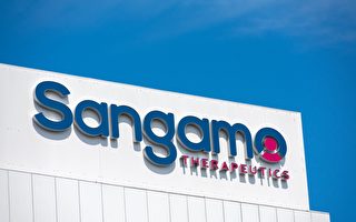 為降低成本 灣區生物技術公司 Sangamo 裁員 40%
