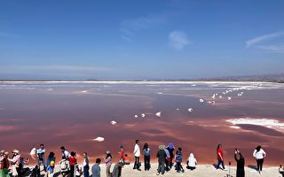 聖荷西粉紅鹽池如詩如畫  但遊客不宜靠得太近