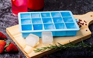 制冰盘除了水还能冻什么？试试这些简单妙招