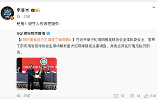 河南足協前主席楊楠被調查 傳已逃到國外