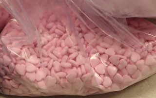 麻州查获1000万剂毒品 有的伪装成心形糖果