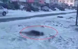 黑龙江勃利县一男子在冰天雪地里冻死