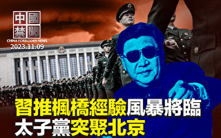 【中国禁闻】太子党突然聚集北京 引猜疑