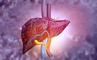【三醫論壇】肝癌發生的能量基礎 氣的作用是關鍵？