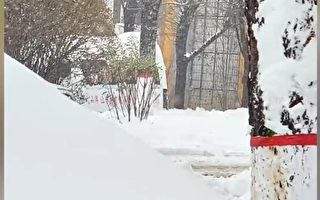 黑龙江暴雪 深度将达30厘米 佳木斯停工停课
