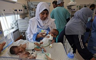 31名早产儿已从加沙希法医院撤离