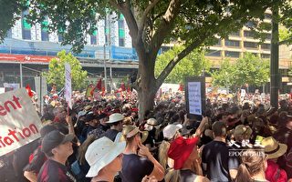 南澳教師工會擬接受政府薪資協議