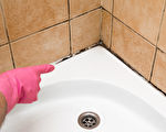 专家教你用奇招去除浴室霉菌 迅速见效