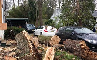 汽车在自然灾害中受损 你能得到保险赔偿吗？