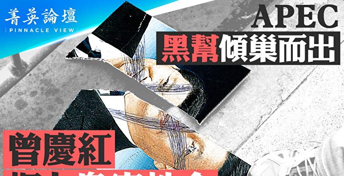 【菁英论坛】黑帮APEC峰会施暴 背后谁指使