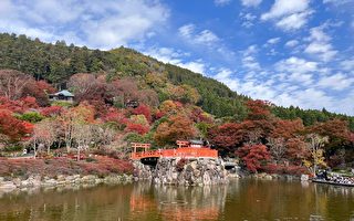日本胜尾寺箕面公园 祈福、枫红、瀑布一次拥有