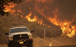 研究：加州野火改变生态系统 破坏野生动物栖息地