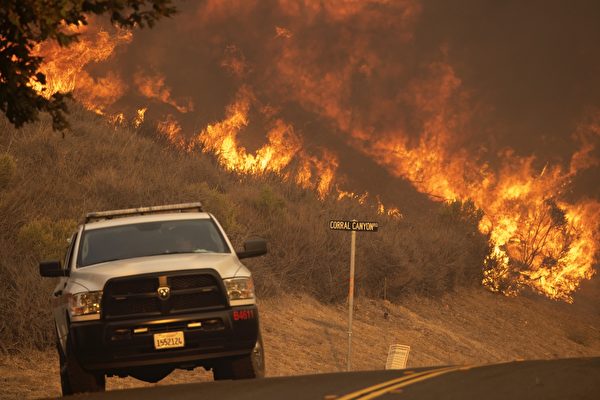 研究：加州野火改變生態系統 破壞野生動物棲息地