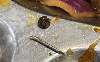 鼠頭鴨脖後 上海交大食堂飯菜現1.5厘米針頭