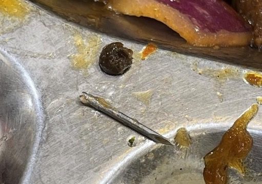鼠头鸭脖后 上海交大食堂饭菜现1.5厘米针头