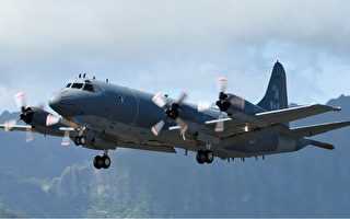 对加国侦察机替代飞机问题 军方与企业意见不一