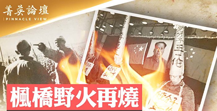 【菁英论坛】枫桥野火再烧 基层人人难逃