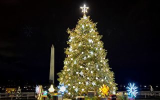 白宫附近的国家圣诞树被大风吹倒