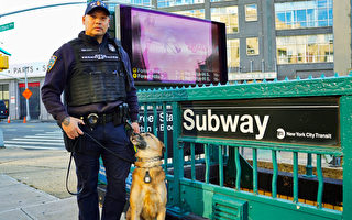 纽约市唯一地铁警犬训练员 蔡展鹏因爱狗而结缘