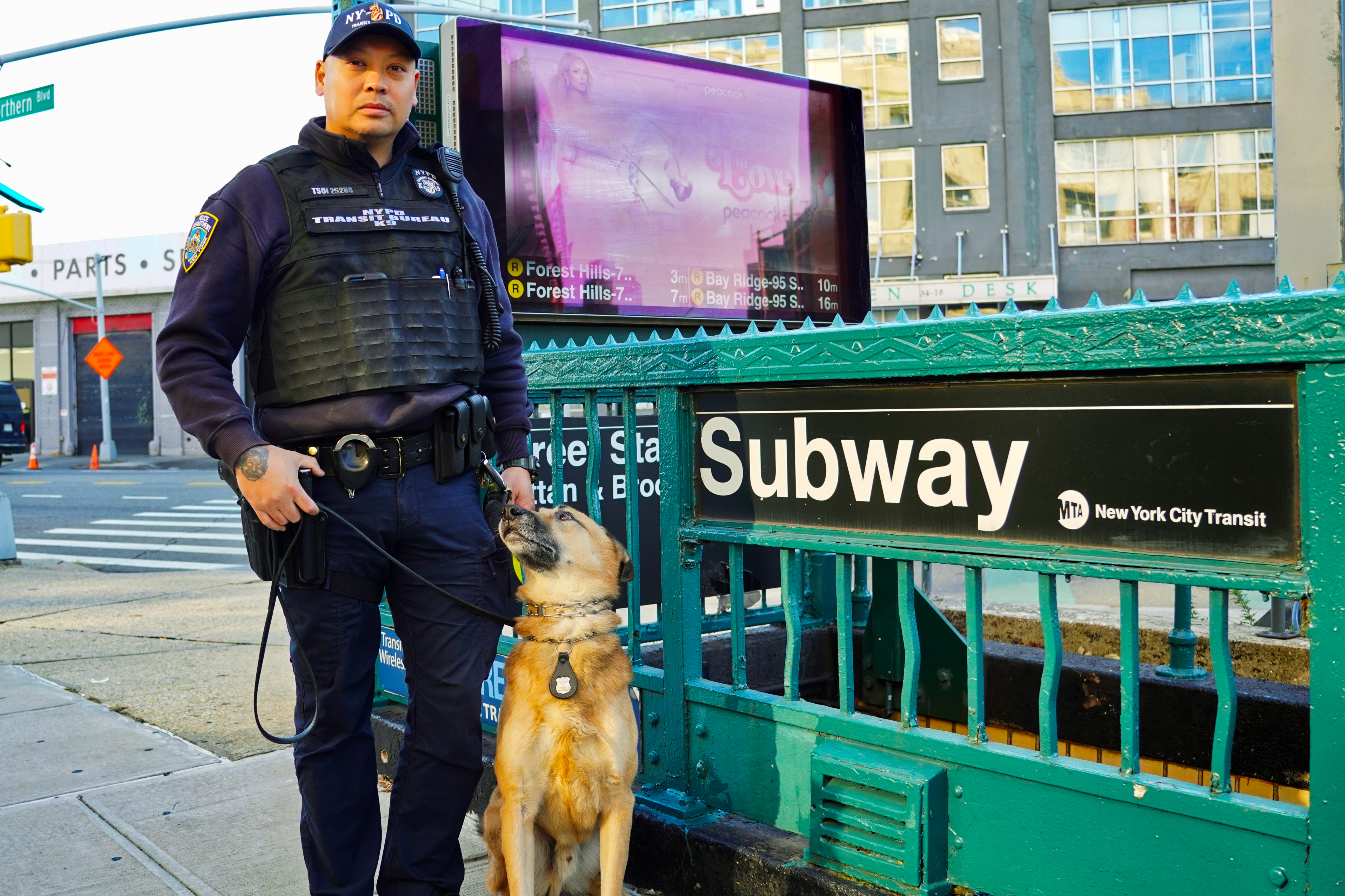 纽约市华裔地铁警犬训练员蔡展鹏因爱狗而结缘| K9 | 纽约市警局
