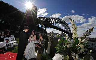 年逾12万对新人喜结连理 澳结婚人数创记录