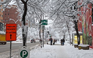 魁北克迎來今年首場大雪 逾10萬用戶斷電