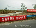 禁燒秸稈20年 中共承認加重了農作物病蟲害