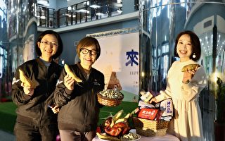 后龙甘薯花生节12月16日登场 体验农家乐