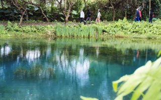 台灣花蓮祕境 美麗的拉索埃湧泉生態園區